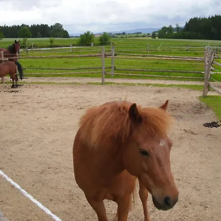 Apartmán Peterbartl-hof *